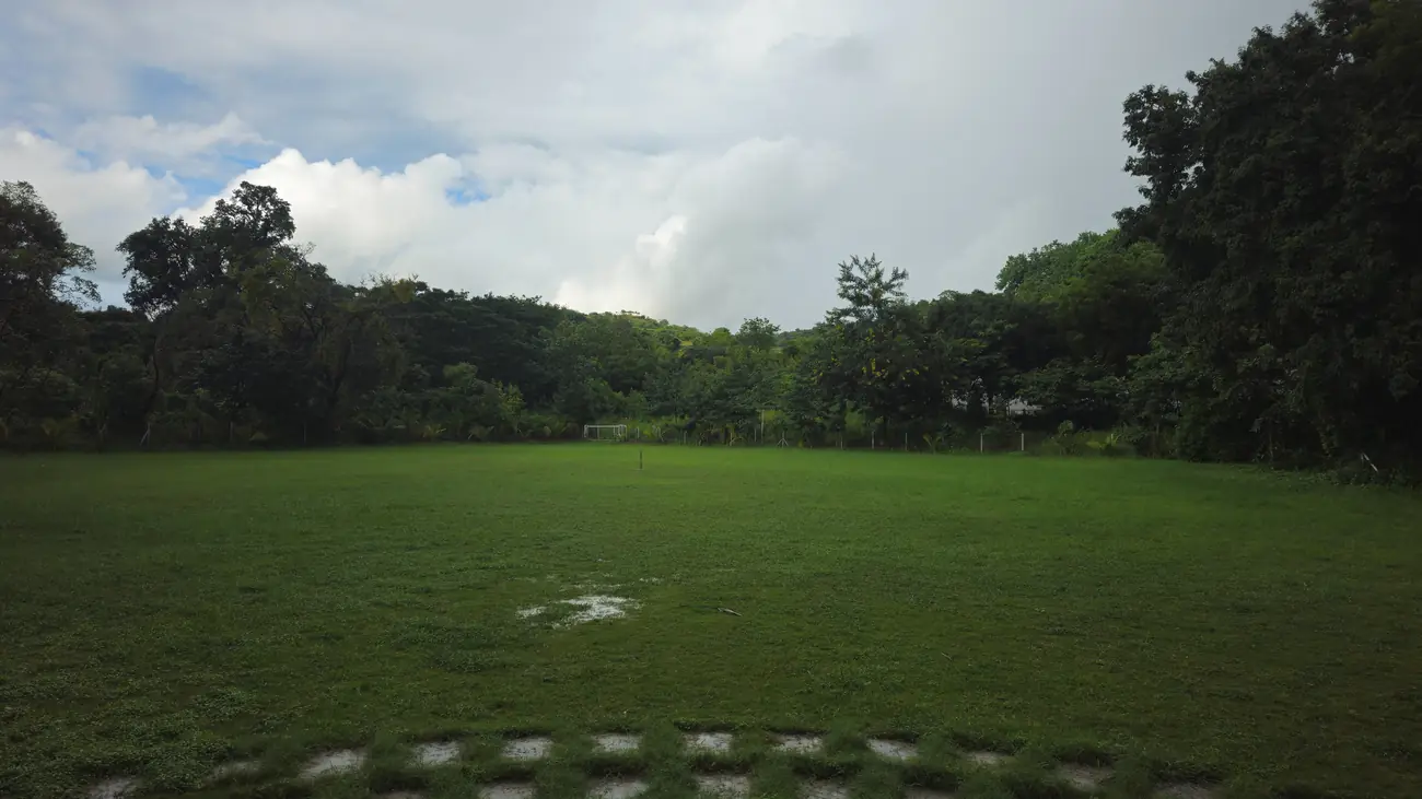 The wedding lawn after monsoon rain
