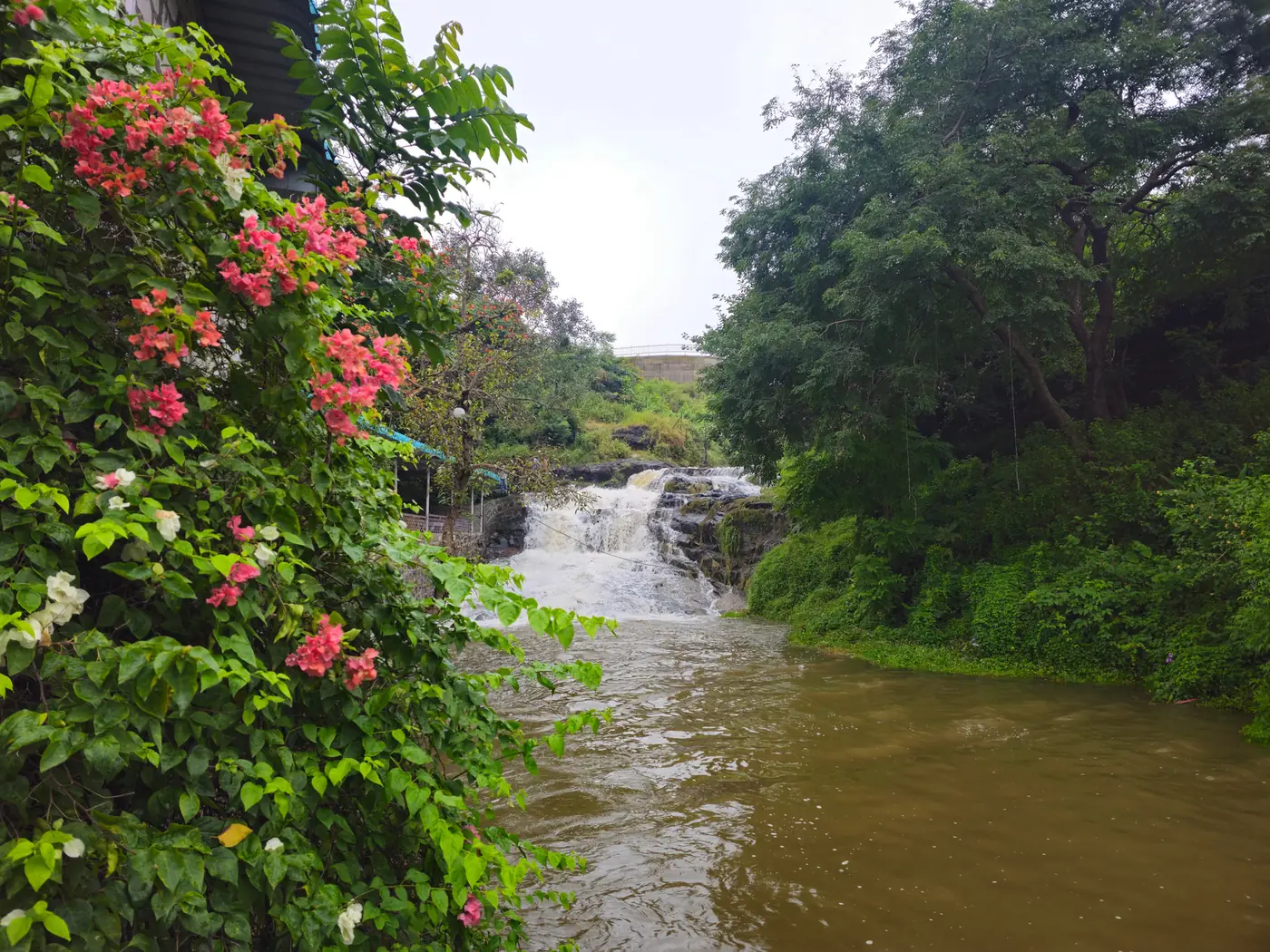 Monsoon waterfall and bougainvillea beside the restaurant at Hiranya
